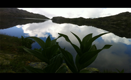 Lac du Brévent Altitude Pêche